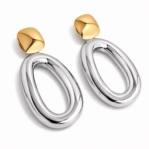 Gold and Silver Oval Hoop Earrings